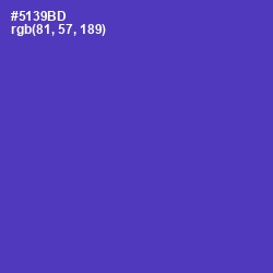 #5139BD - Royal Purple Color Image