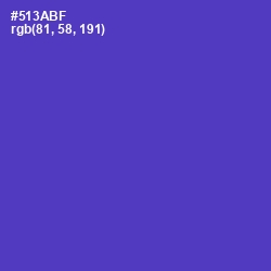 #513ABF - Royal Purple Color Image