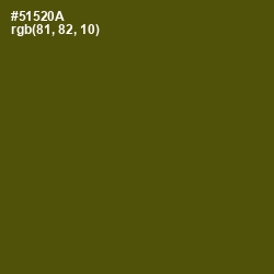 #51520A - Saratoga Color Image