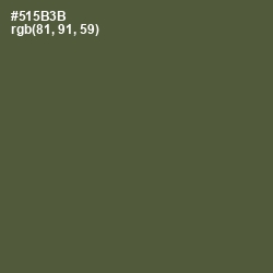 #515B3B - Verdigris Color Image