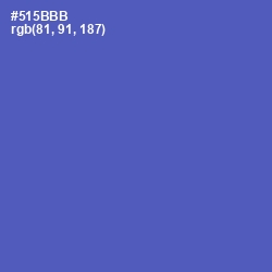 #515BBB - Blue Violet Color Image