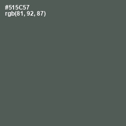 #515C57 - Chicago Color Image