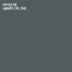 #515C5E - Chicago Color Image