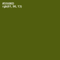 #51600D - Green Leaf Color Image