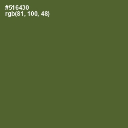 #516430 - Chalet Green Color Image