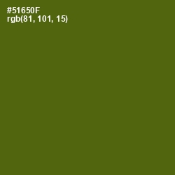 #51650F - Green Leaf Color Image