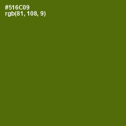 #516C09 - Green Leaf Color Image