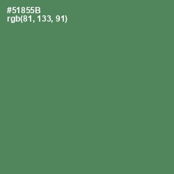#51855B - Hippie Green Color Image