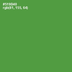 #519B40 - Hippie Green Color Image