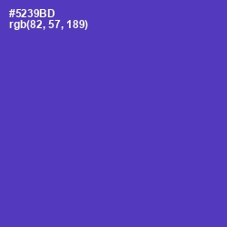 #5239BD - Royal Purple Color Image