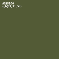#525B36 - Verdigris Color Image