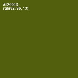 #52600D - Green Leaf Color Image