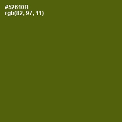 #52610B - Green Leaf Color Image