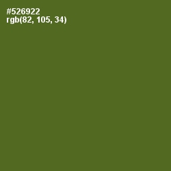 #526922 - Chalet Green Color Image