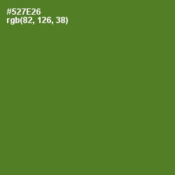 #527E26 - Chalet Green Color Image