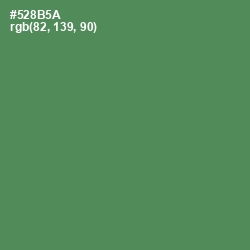 #528B5A - Hippie Green Color Image