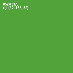 #52A33A - Apple Color Image