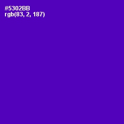 #5302BB - Purple Color Image