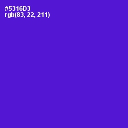 #5316D3 - Purple Heart Color Image