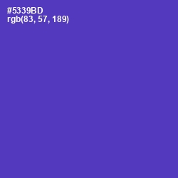 #5339BD - Royal Purple Color Image