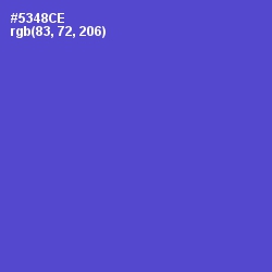 #5348CE - Indigo Color Image