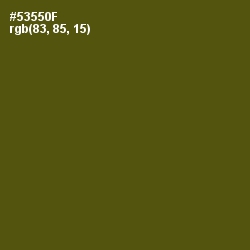 #53550F - Saratoga Color Image