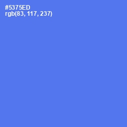 #5375ED - Royal Blue Color Image