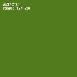 #537C1C - Green Leaf Color Image