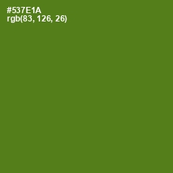 #537E1A - Green Leaf Color Image