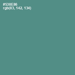 #538E86 - Smalt Blue Color Image