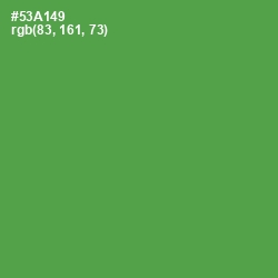 #53A149 - Fruit Salad Color Image
