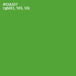 #53A537 - Apple Color Image
