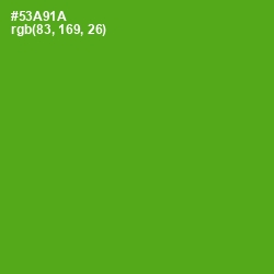 #53A91A - Christi Color Image