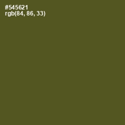 #545621 - Woodland Color Image