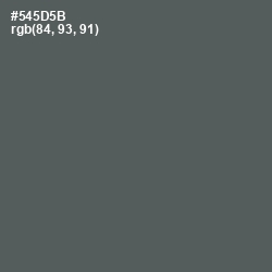 #545D5B - Chicago Color Image