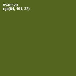 #546520 - Chalet Green Color Image
