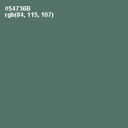 #54736B - Como Color Image