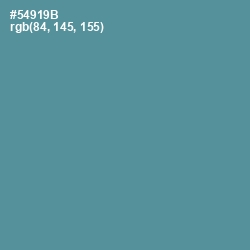 #54919B - Smalt Blue Color Image