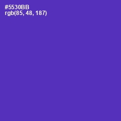 #5530BB - Daisy Bush Color Image