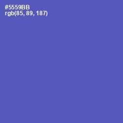 #5559BB - Blue Violet Color Image