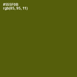 #555F0B - Saratoga Color Image