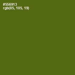 #556913 - Green Leaf Color Image