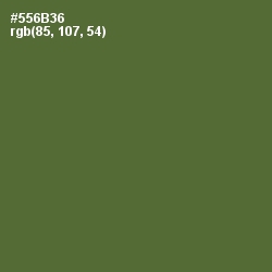 #556B36 - Chalet Green Color Image