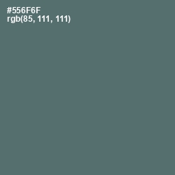 #556F6F - Cutty Sark Color Image