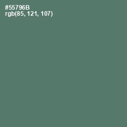 #55796B - Como Color Image