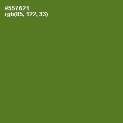 #557A21 - Chalet Green Color Image