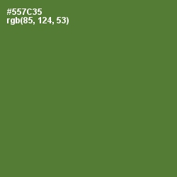 #557C35 - Chalet Green Color Image