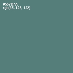 #557D7A - Cutty Sark Color Image