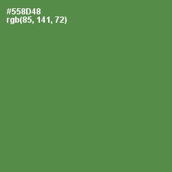 #558D48 - Hippie Green Color Image
