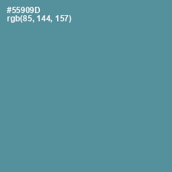 #55909D - Smalt Blue Color Image